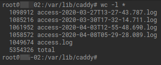 Caddy Access Log. If it isn't here, something went wrong. Stupid website dev. Who made it anyway? Oh...